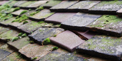 Mill Hill roof repair costs